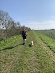 Very close to King's Lynn - just three more miles to go!